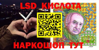 гидра Будённовск