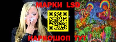 гидра Будённовск