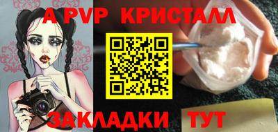 гидра Будённовск