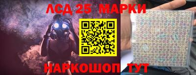 гидра Будённовск