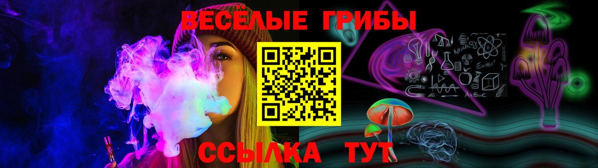 Чехов  Псилоцибиновые грибы Cubensis  Вход с VPN 